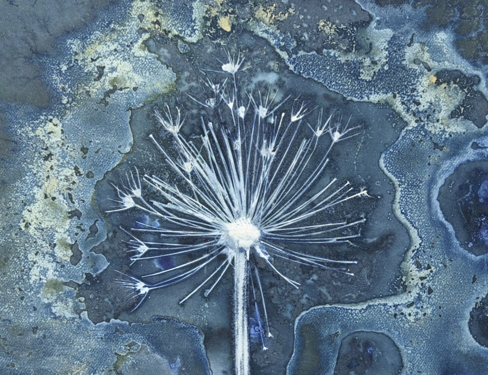 Starting out with Wet Cyanotype